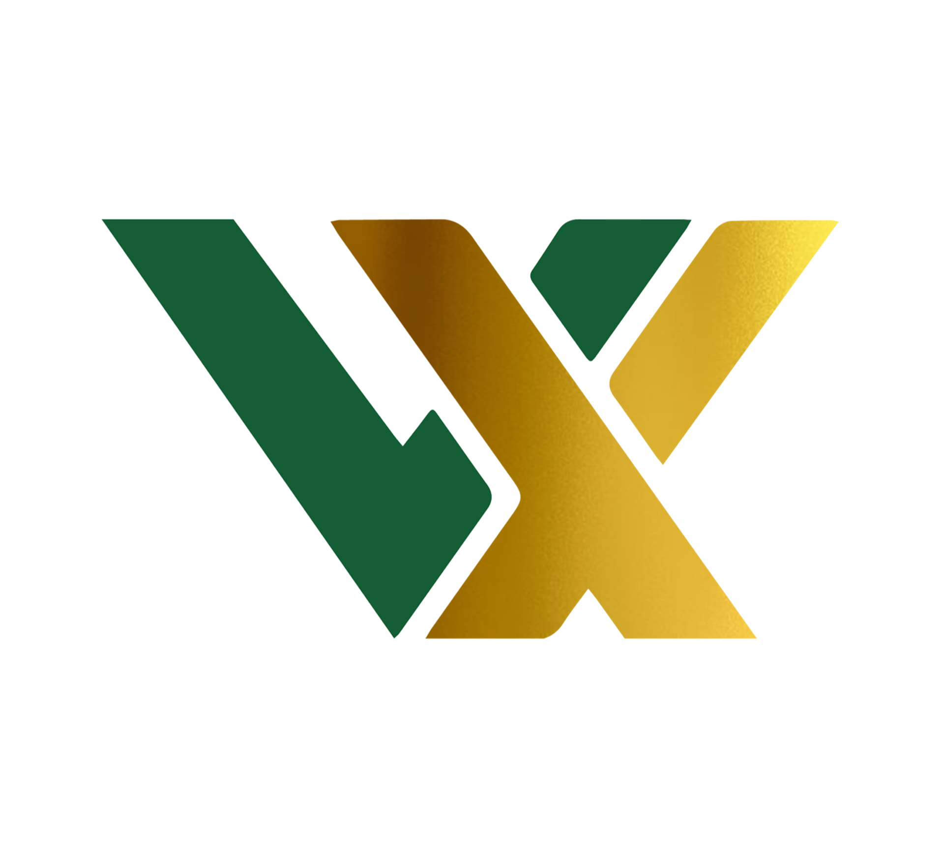 VX Global